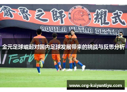 金元足球崛起对国内足球发展带来的挑战与反思分析
