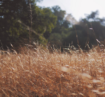萨拉戈萨大胜，士气如虹，信心倍增！