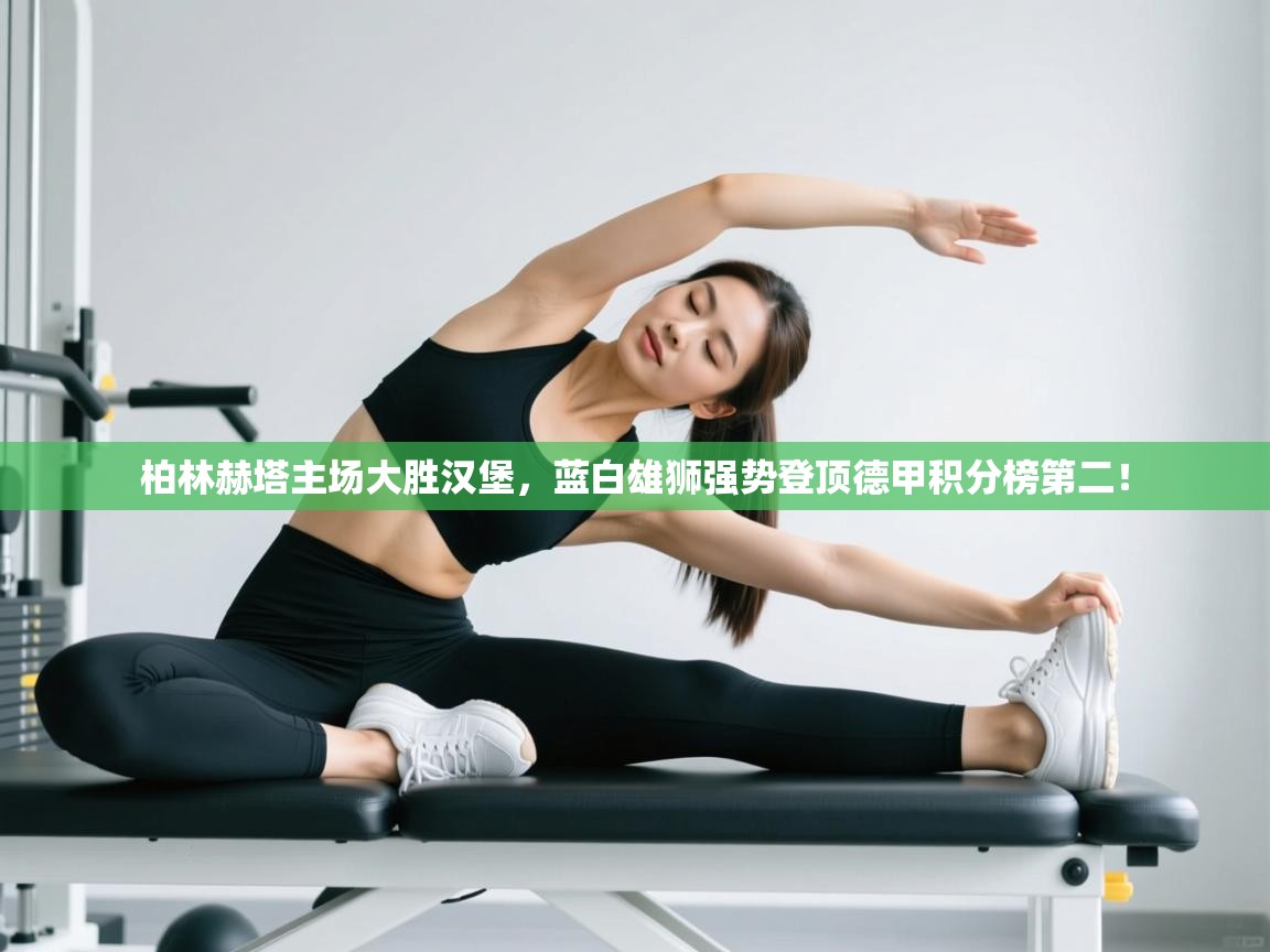 柏林赫塔主场大胜汉堡,蓝白雄狮强势登顶德甲积分榜第二! 第2张